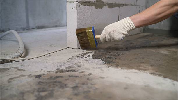 SJ Waterproofing Pros Exterior Waterproofing coverage map for Hemlock, MI and surrounding area